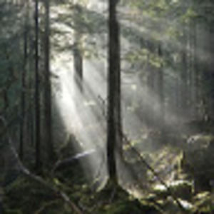 Meet your Posher, Karla